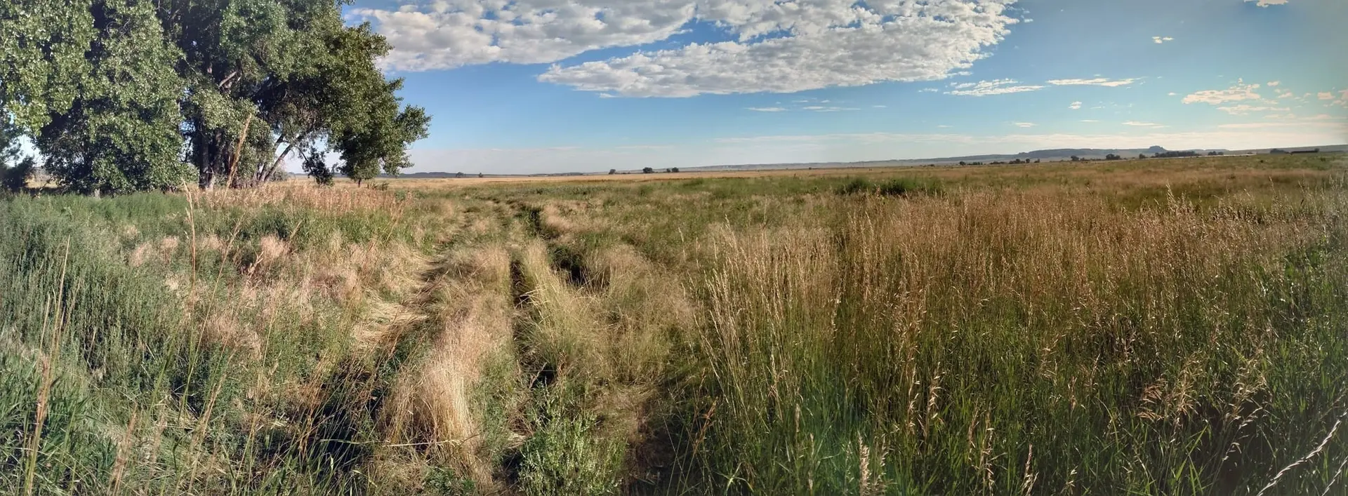 A dirt path winds through a grassy field under a blue sky with scattered clouds.